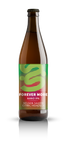 FOREVER MORE - NANO IPA 